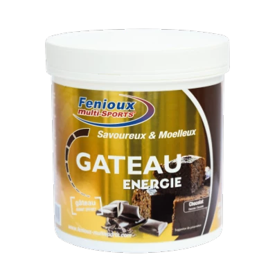 Gâteau Fenioux Energie Chocolat